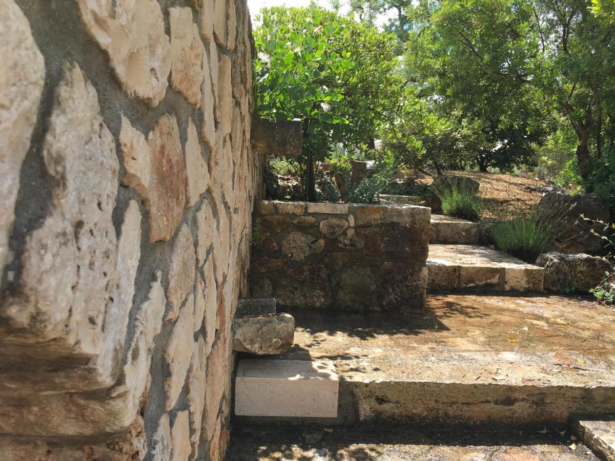 לינה וארוחת בוקר לוקורוטונדו Casa Zucchetta מראה חיצוני תמונה